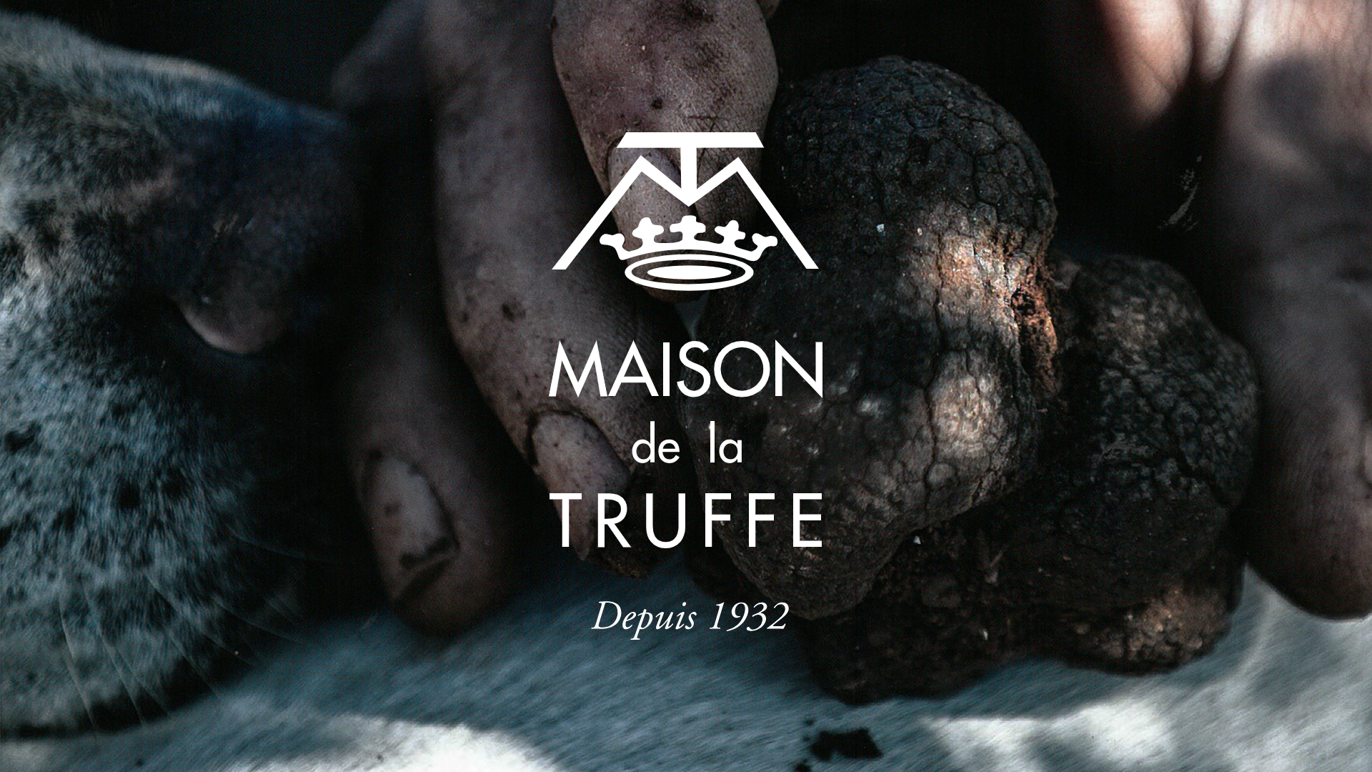 La Maison de la Truffe